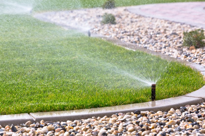 New Sprinkler Installation